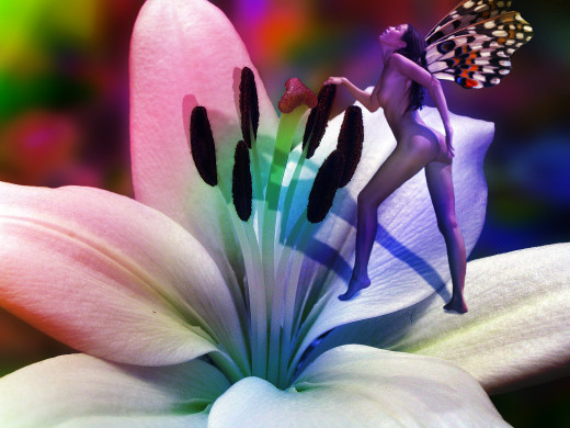 5008 (a): :1024x768